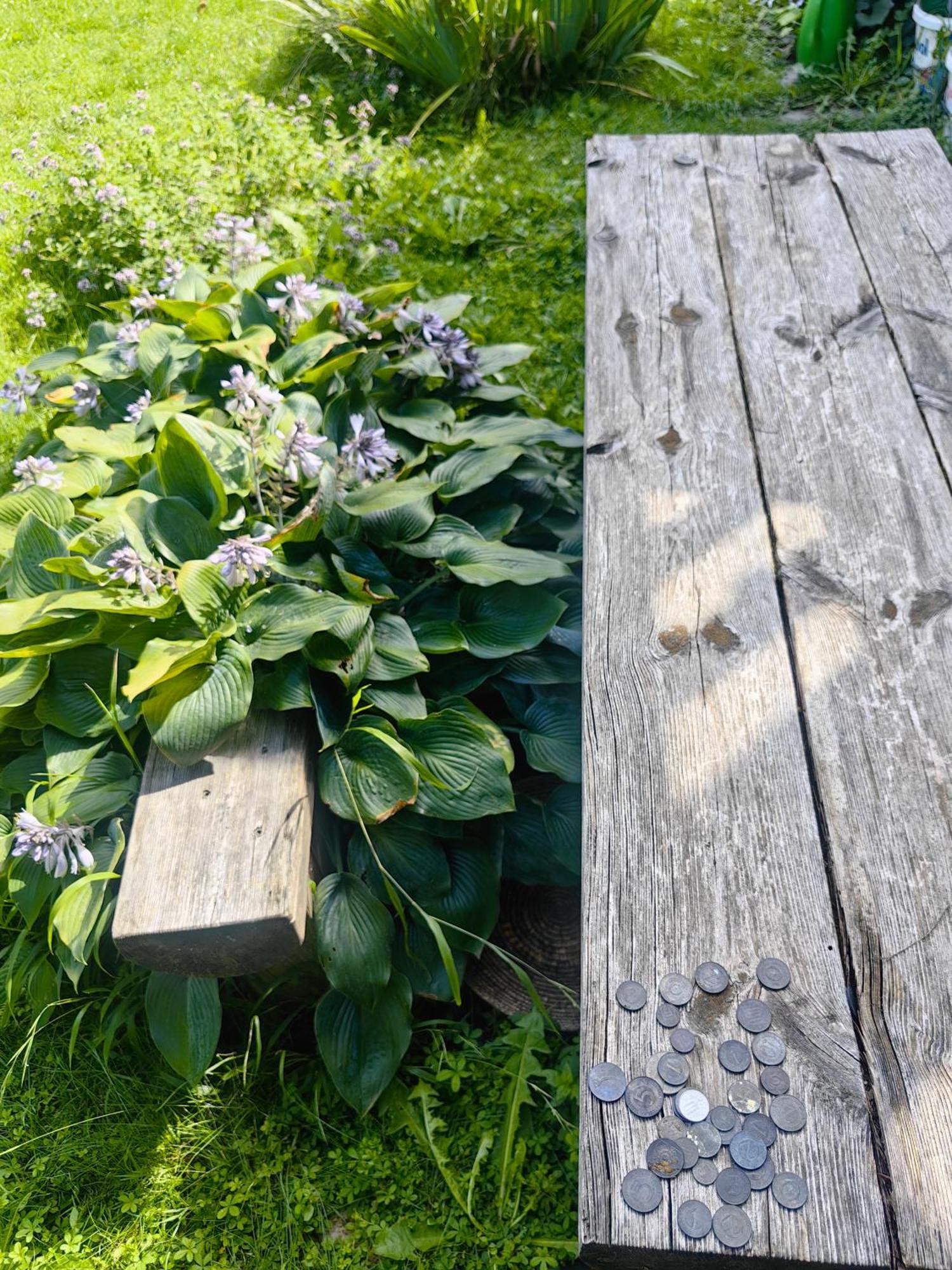 Hisa Hortenzija Luce Экстерьер фото