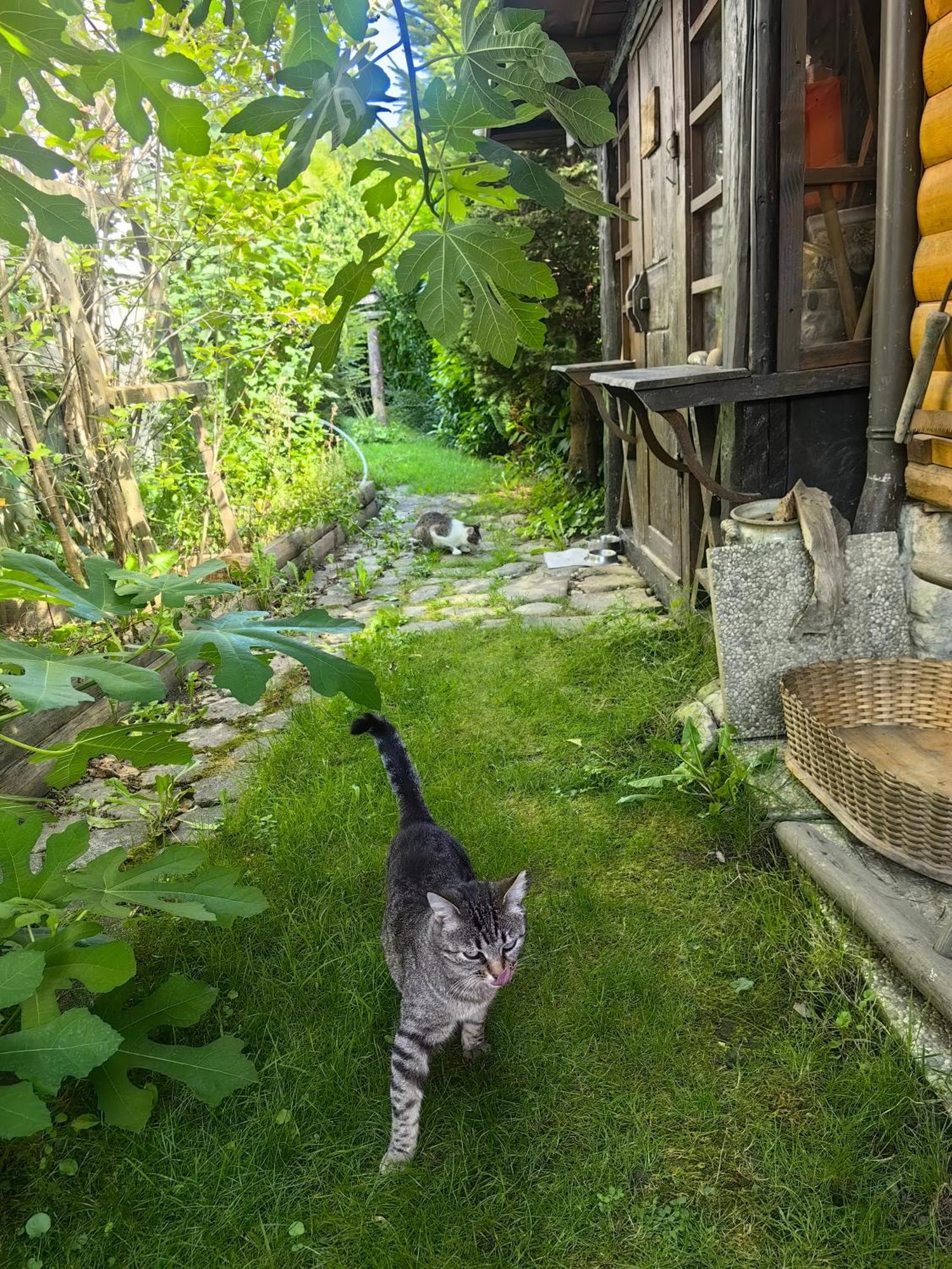 Hisa Hortenzija Luce Экстерьер фото